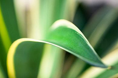 网飞计划在今年再发售40款游戏